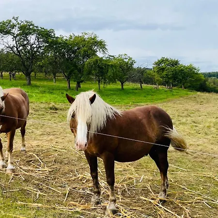 Weitsicht * Hüttenrode