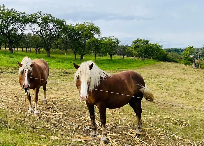 Weitsicht * Hüttenrode
