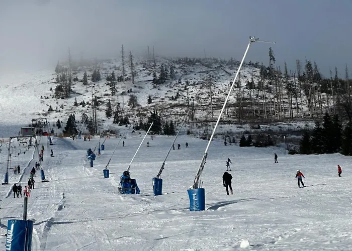 Lägenhet Weitsicht Hüttenrode