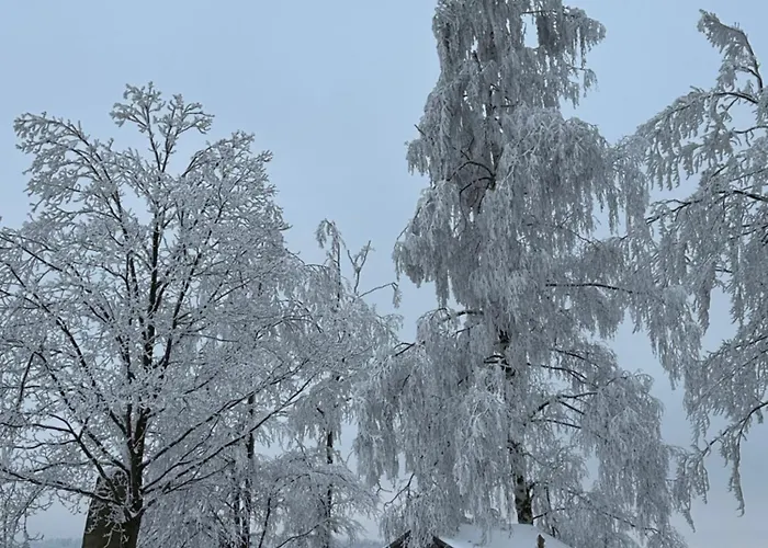 Weitsicht Lägenhet *